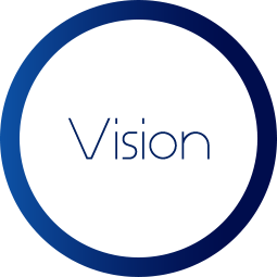 Vision