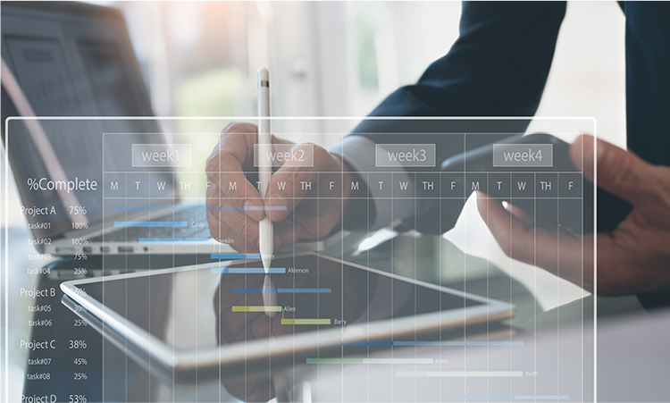 Project Management and Operational Support.