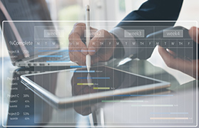 Project Management and Operational Support.